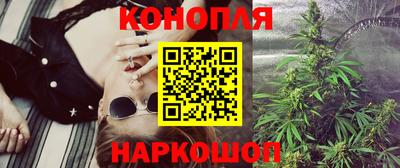 гидропоника Пугачёв