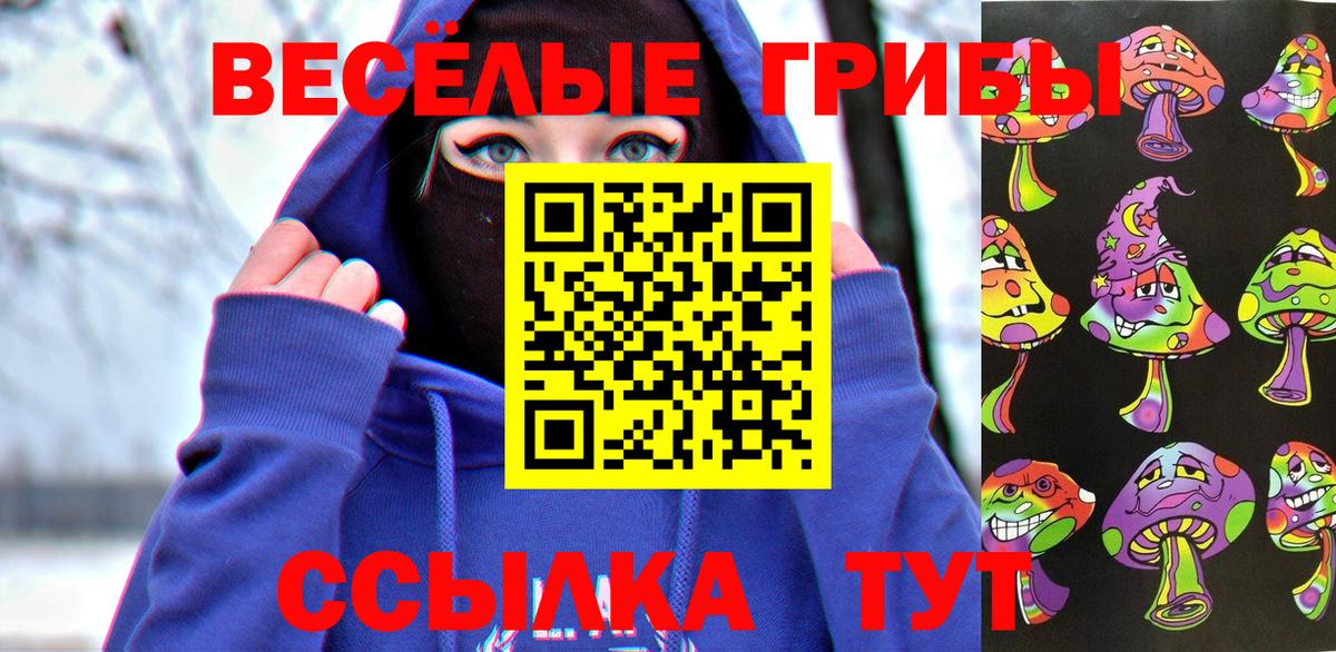 Псилоцибиновые грибы Psilocybe Татарск